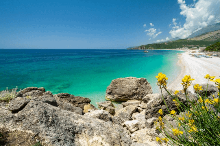 screenshot 2025 02 25 174211