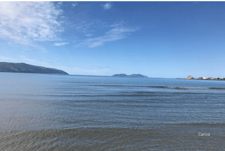 screenshot 2025 02 25 174511