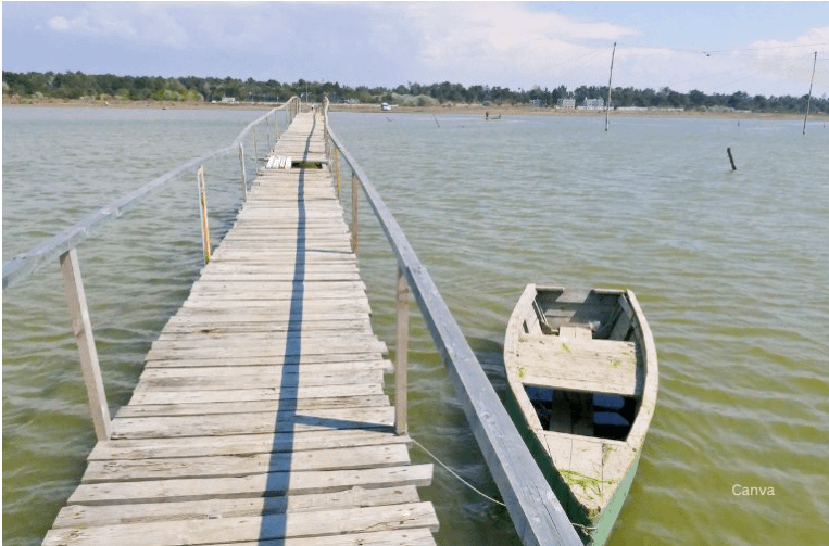 screenshot 2025 02 25 173516