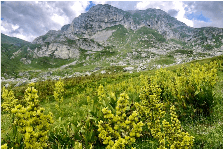 screenshot 2025 02 25 174109