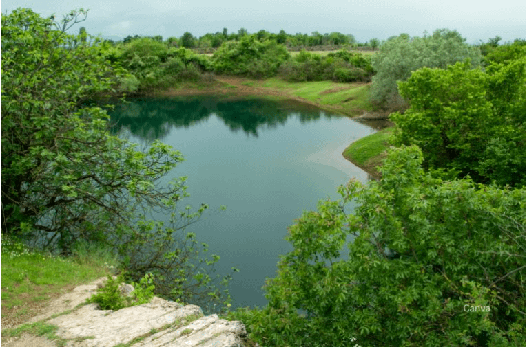 screenshot 2025 02 25 174608