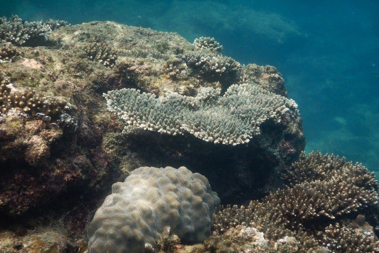 Diving and Snorkeling Spots
