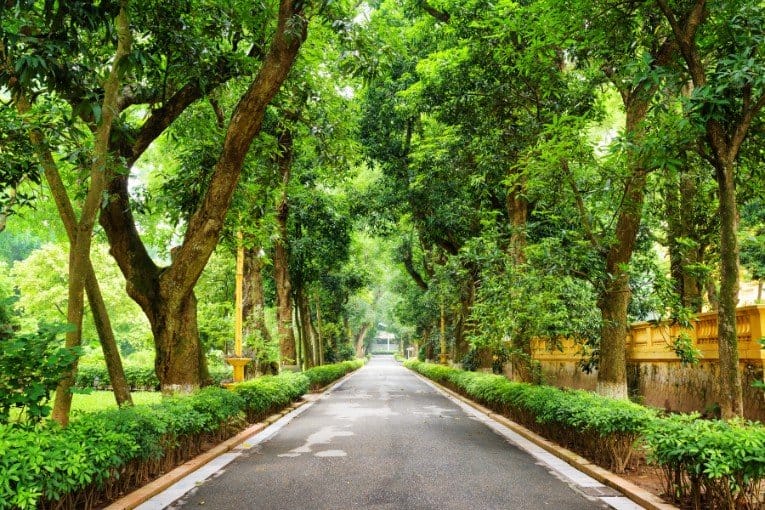 Hanoi Botanical Garden
