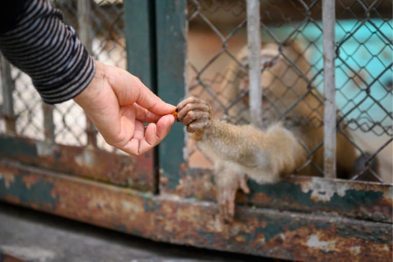 Hanoi Zoo (Thu Le Zoo)