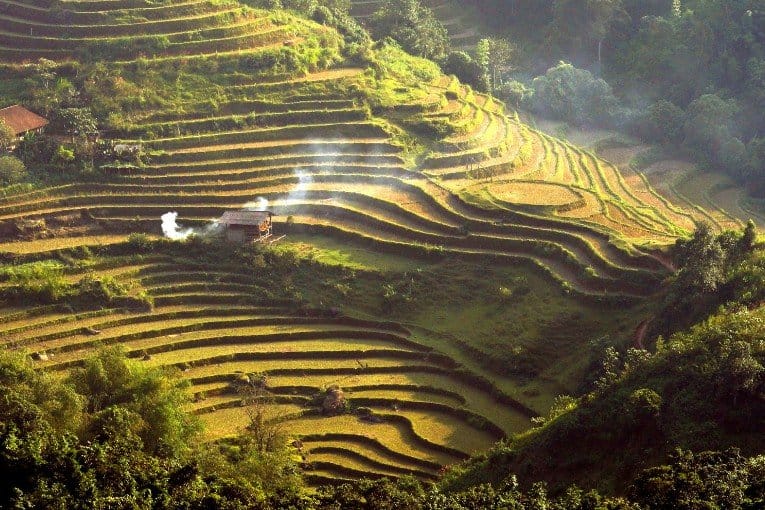 Hoang Su Phi Rice Terraces