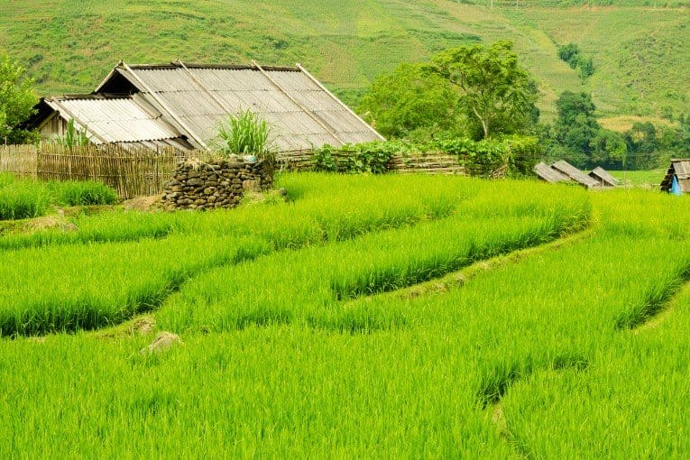 Lao Cai