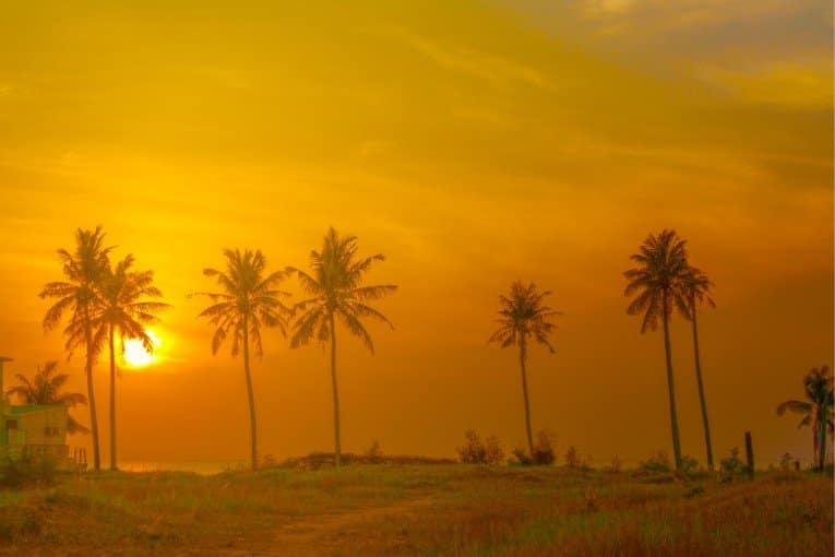 Long Beach (Bai Truong)
