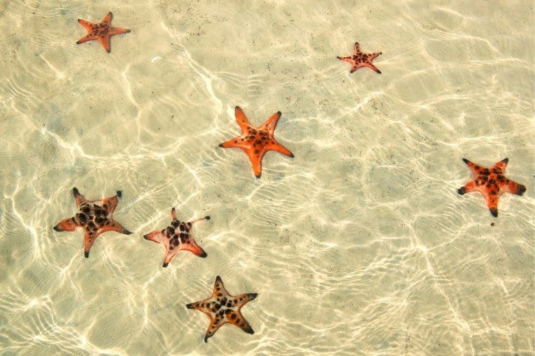 Starfish Beach (Bai Sao)