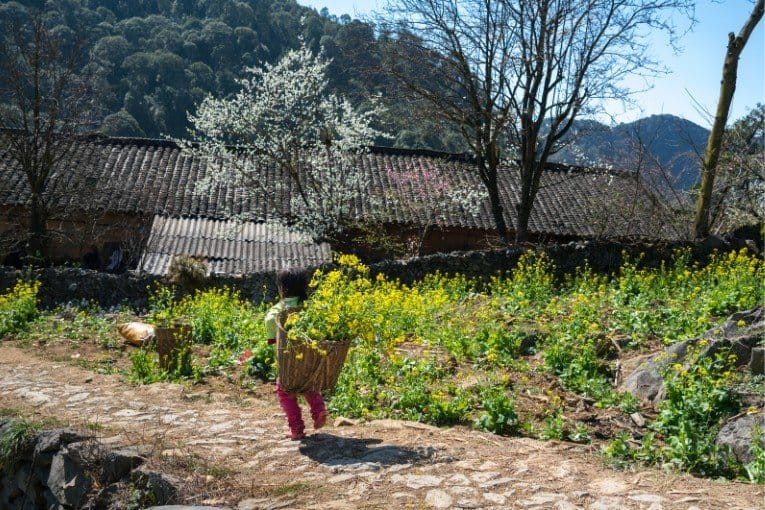 Thien Huong Village