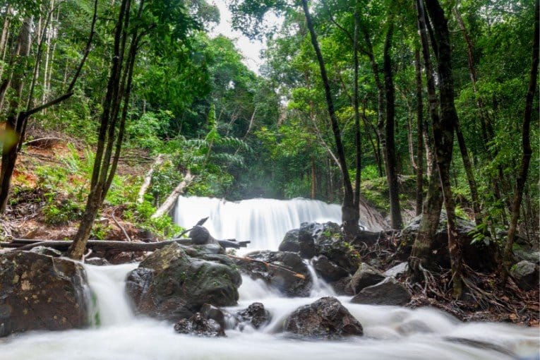 Tranh Stream