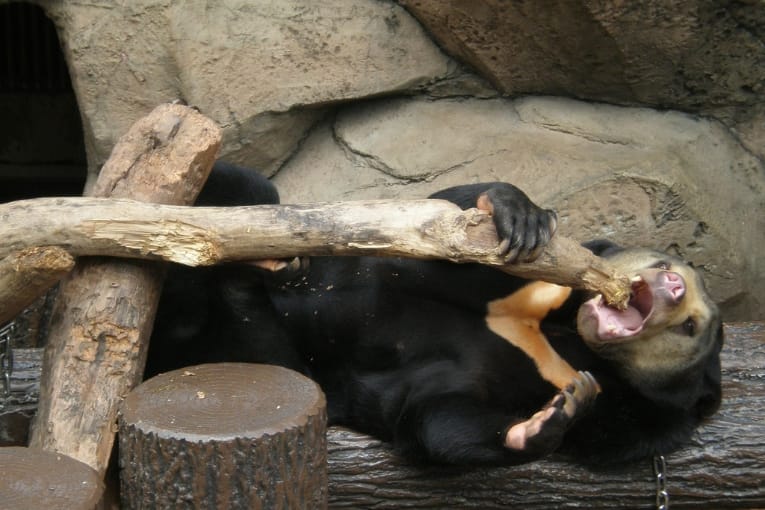 fukuoka city zoo and botanical garden