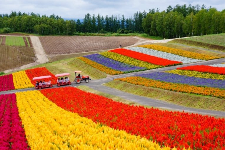 Hokkaido, Japan