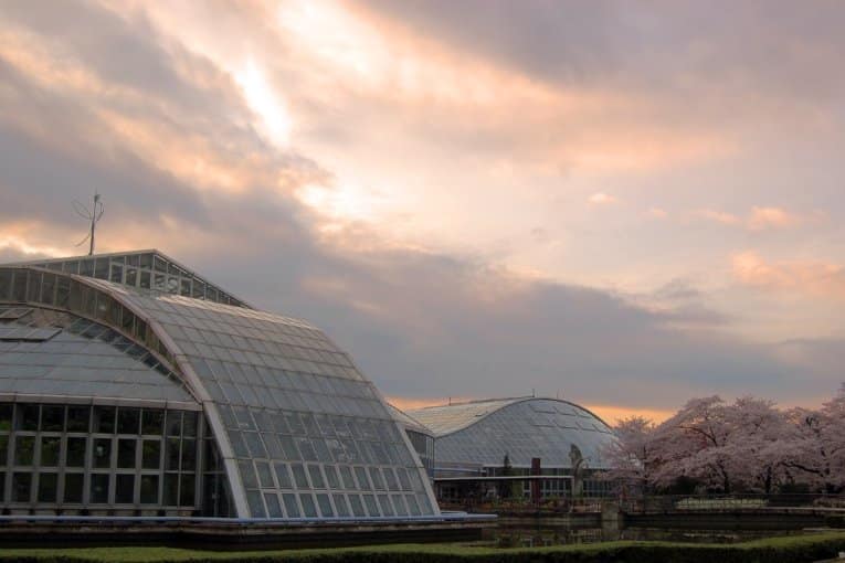 Kyoto Botanical Gardens