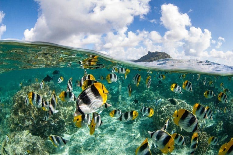Moorea, French Polynesia