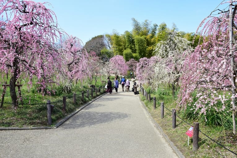 nagoya city agricultural center