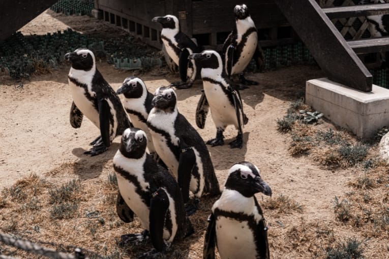 port of nagoya public aquarium