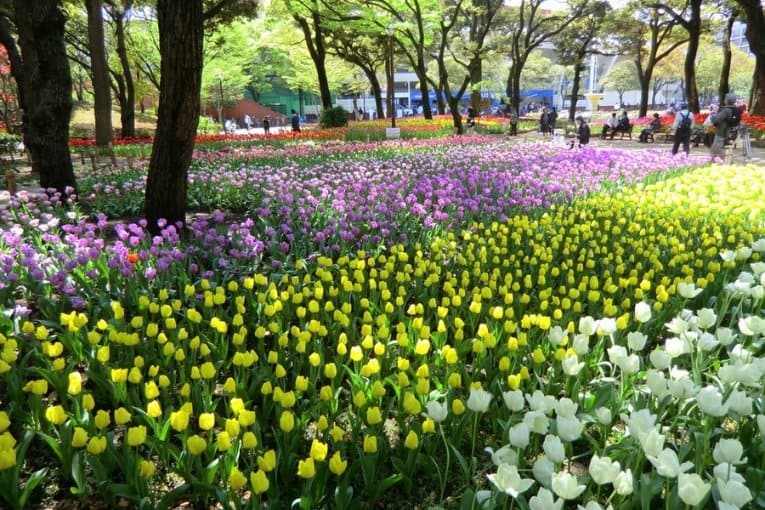 Yokohama Park