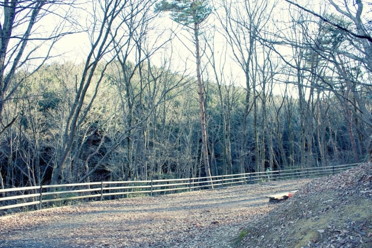 dainohara forest park