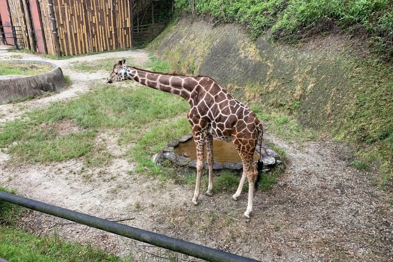nagasaki bio park