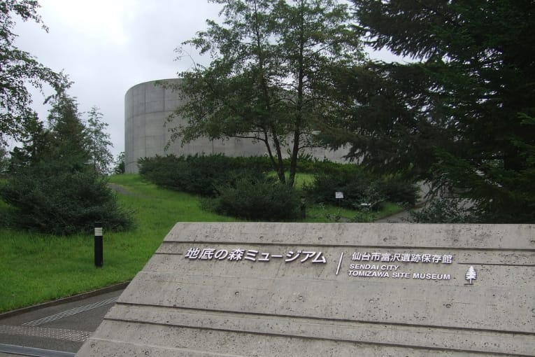 sendai city tomizawa site museum of paleontology