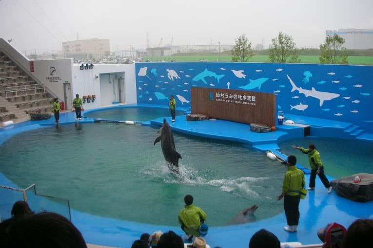 sendai umino mori aquarium