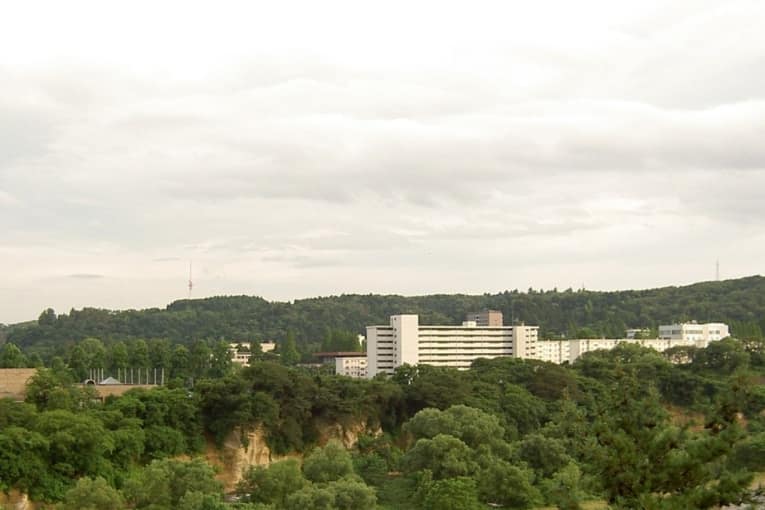tohoku university botanical garden