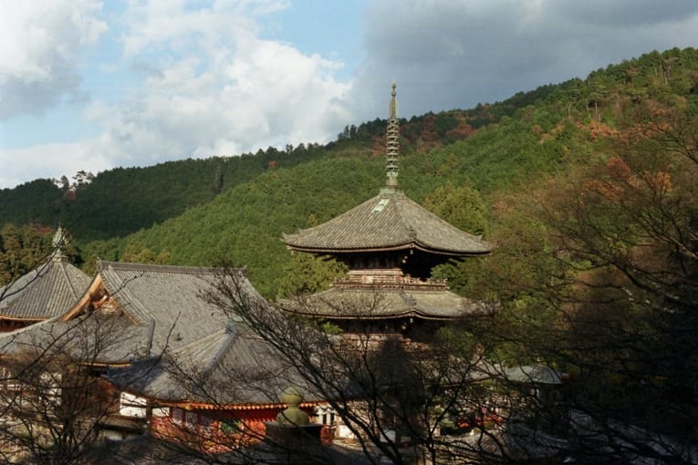 tsubosakadera temple