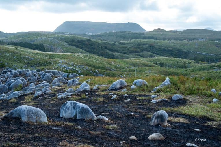 hiraodai karst plateau