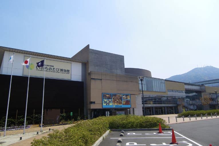 kitakyushu museum of natural history human history