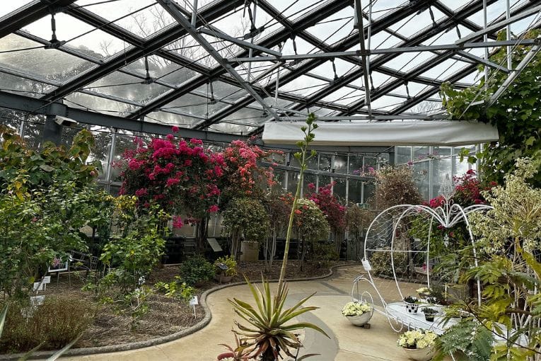 kamakura botanical garden