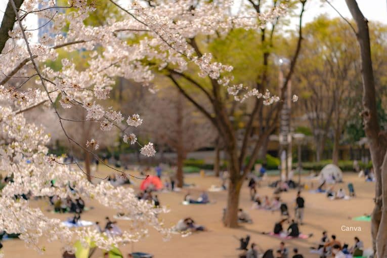 shinjuku central park