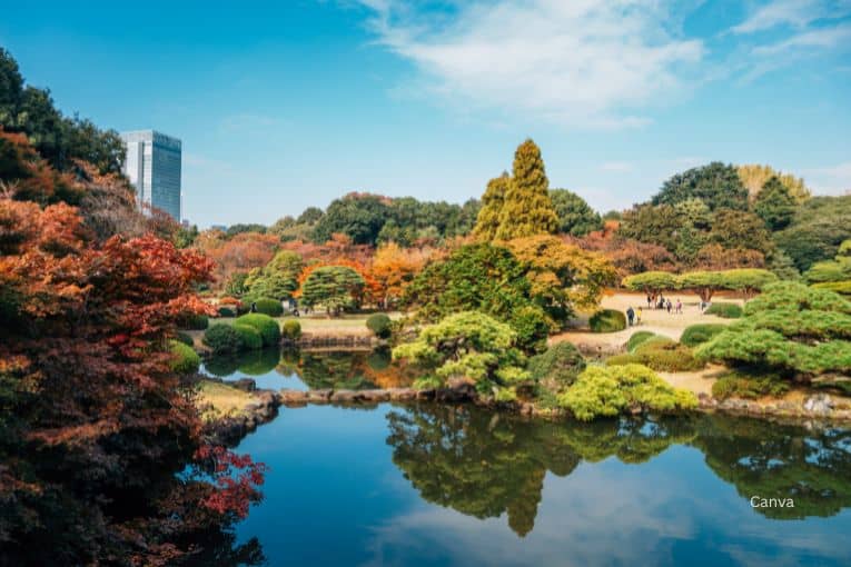 shinjuku gyoen national garden