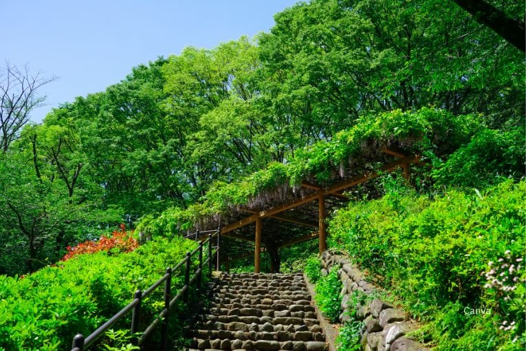 higashitakane forest park