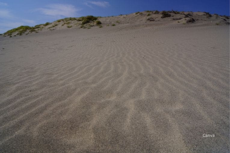 nakatajima sand dunes