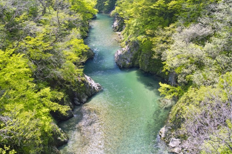 tama river tamagawa