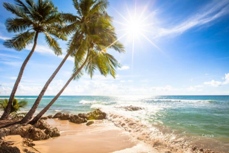 barbados caribbean