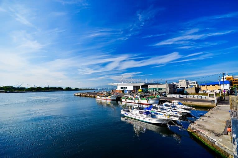 hakodate dock