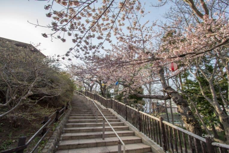 hakodate park