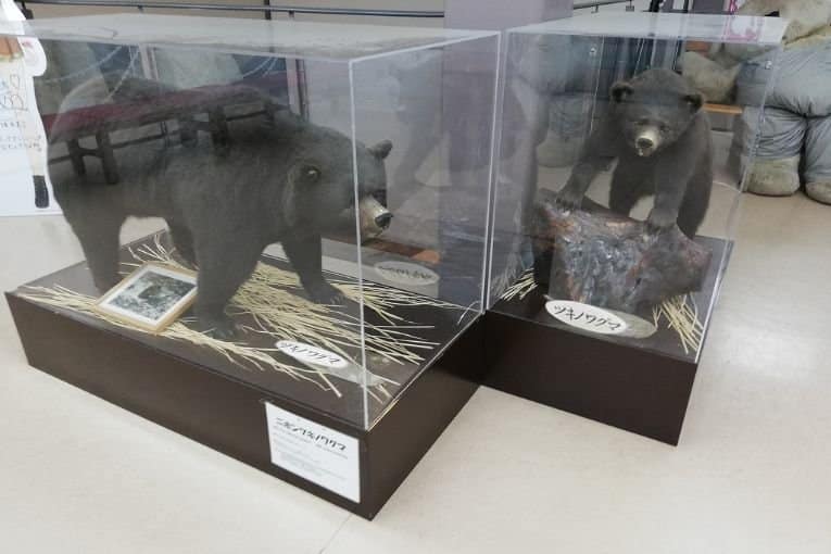 okuhida bear park