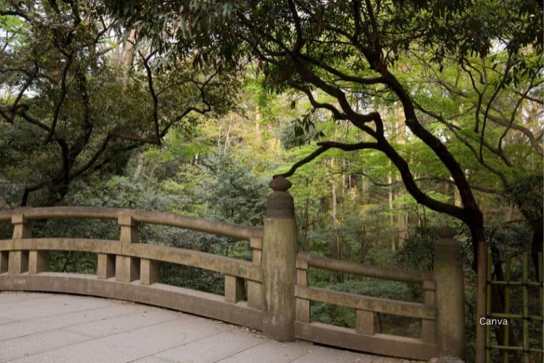 yoyogi park