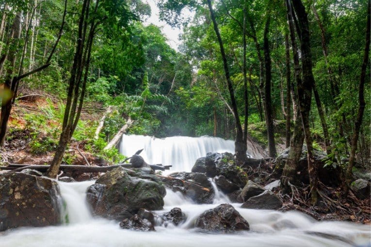 Tranh Stream