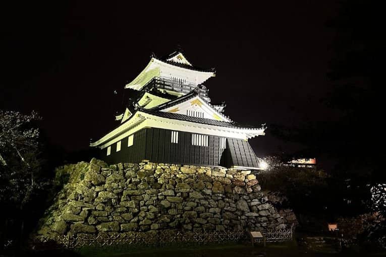 hamamatsu castle