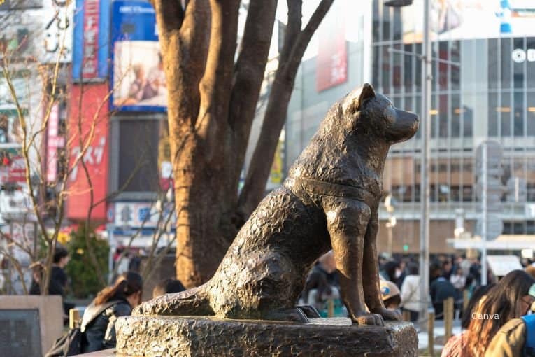 hachiko statue