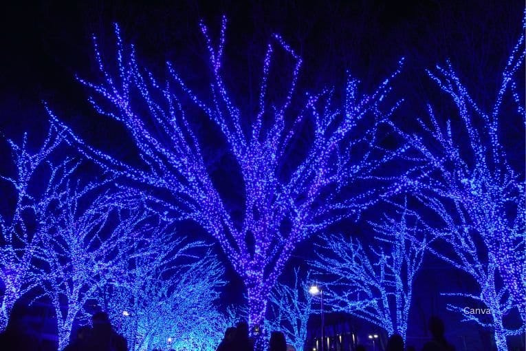 shibuya blue cave illumination