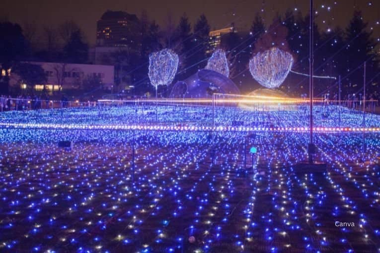 winter illuminations in tokyo