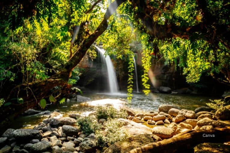 khao yai national park thailand