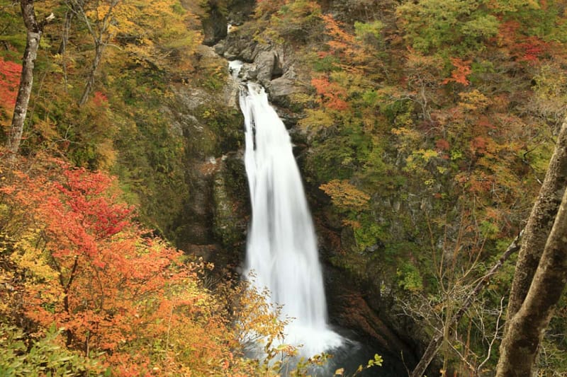 33dfd0214abeb46cb3e62b7f692785617ddaaebc